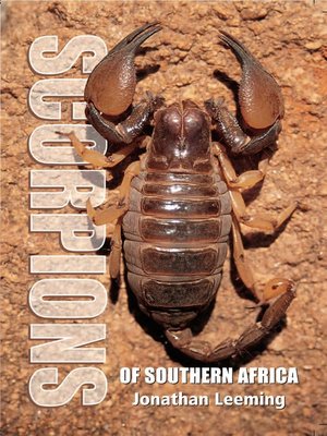 cover image of Scorpions of Southern Africa